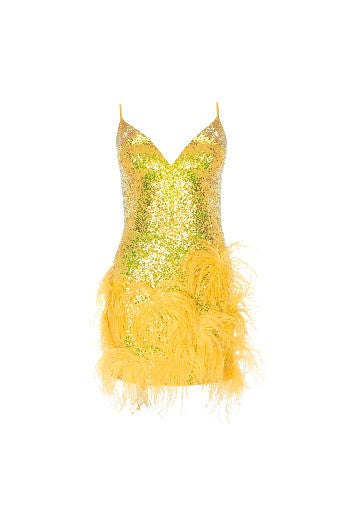 Glitter Feather -Trimmed Dress