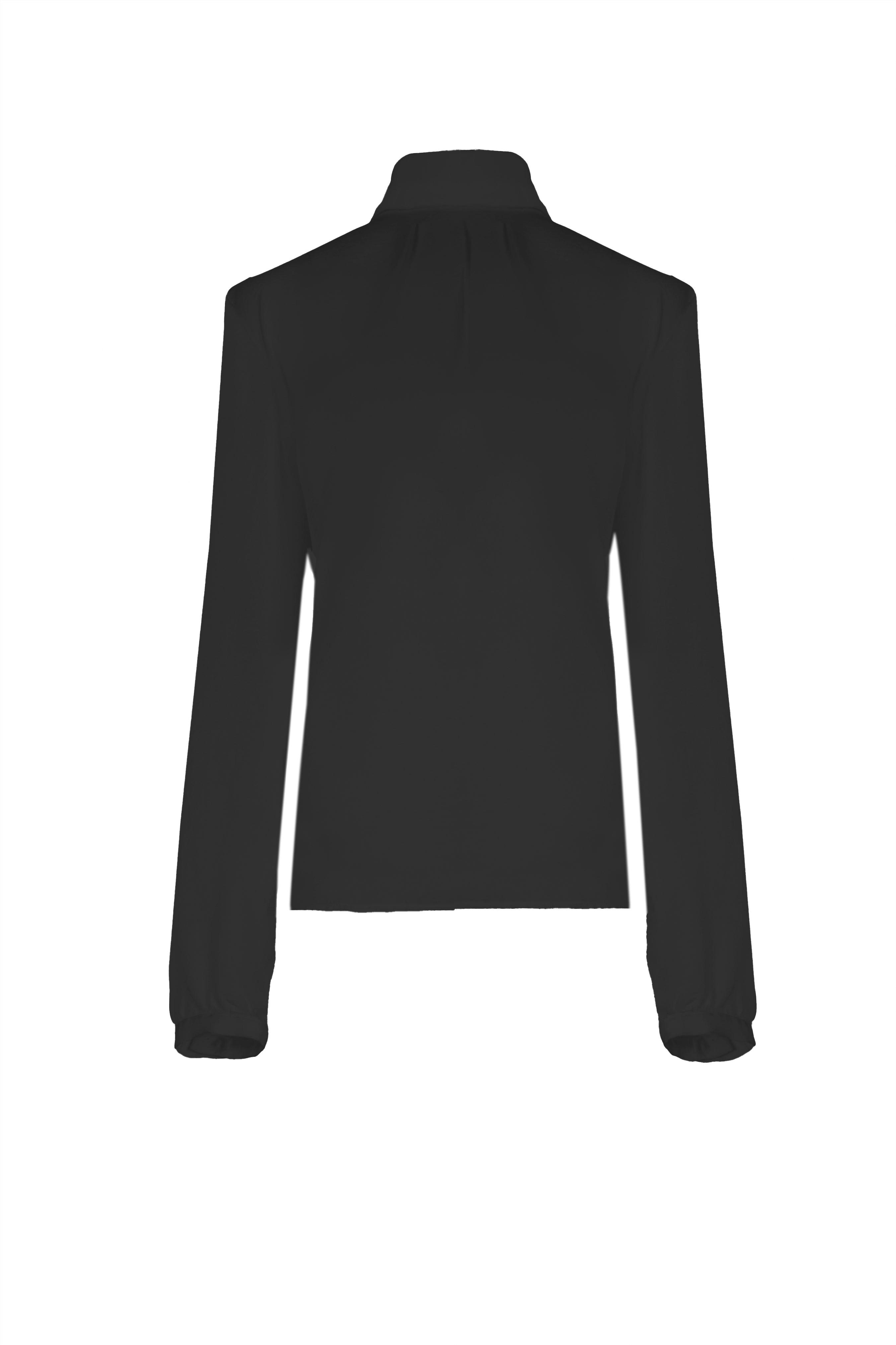 Long Sleeve Turtleneck Blouse