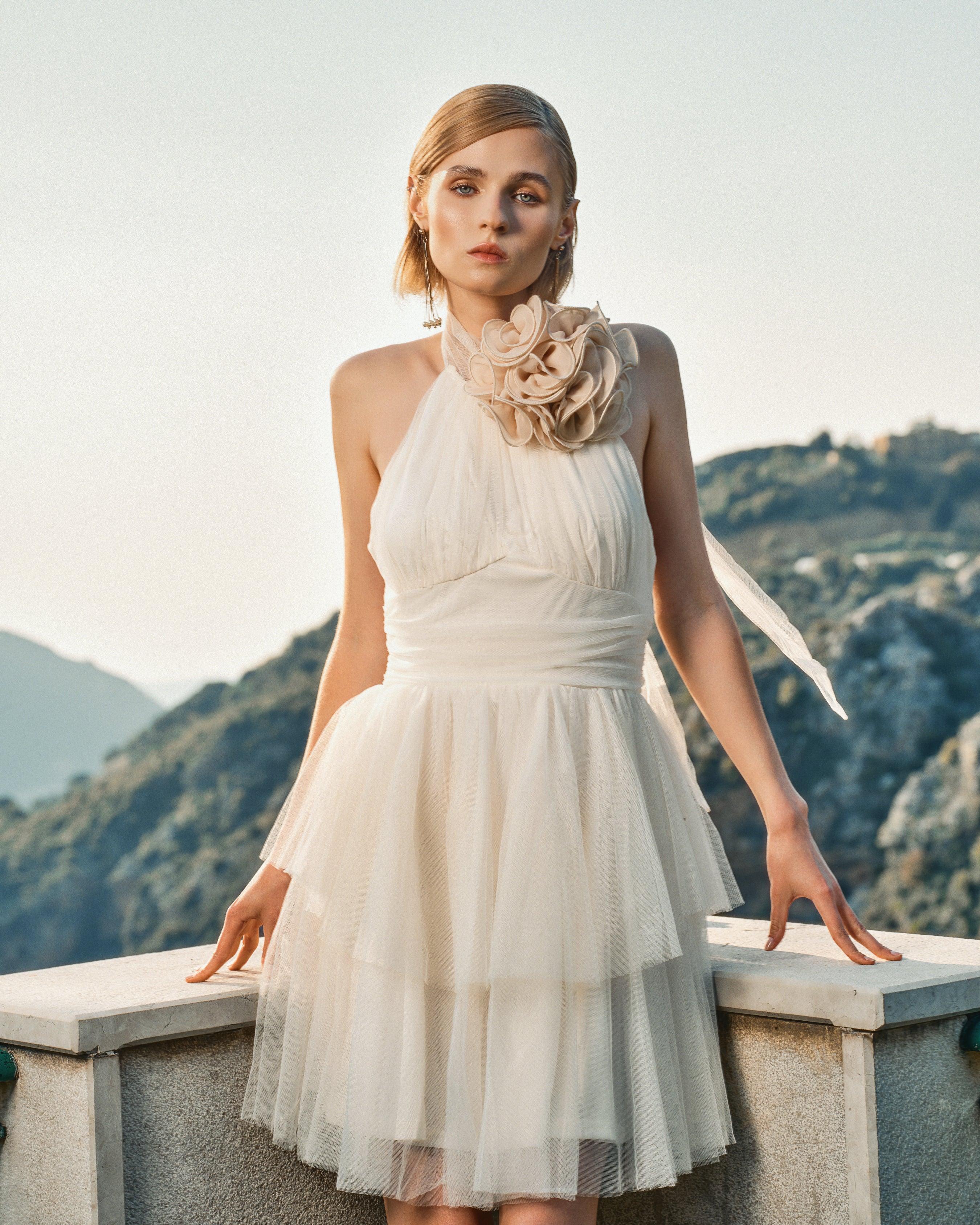 Transparent Turtleneck Tulle Dress