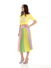 Pleated Striped Skirt